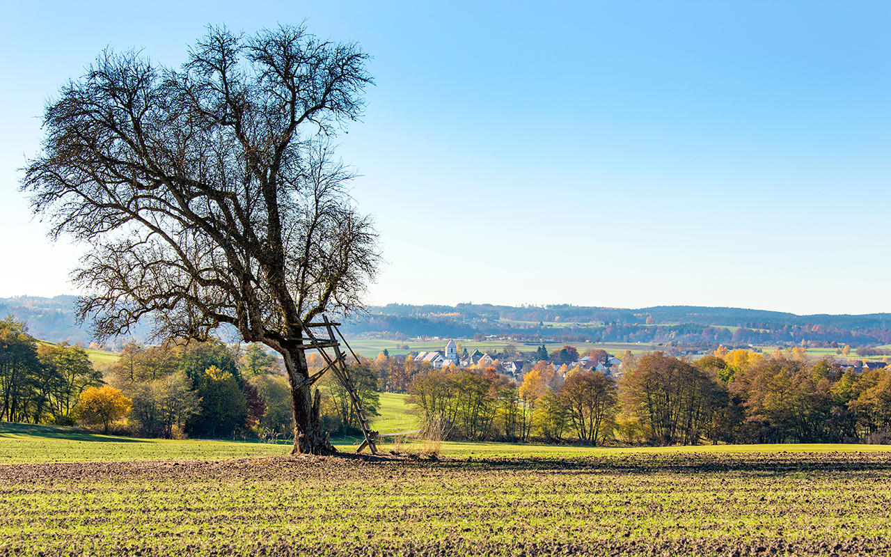 Wanderparadies Dietingen